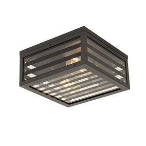 Moderne buiten plafondlamp zwart met smoke glas 2-lichts IP44 - Reims