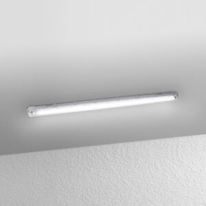 LEDVANCE LEDVANCE Podmořské svítidlo odolné proti vlhkosti 150cm 1 x 19W