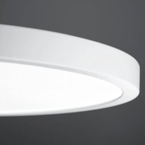 Waldmann LED závěsné VIVAA 2.0 Ø60cm kabel bílý 3 000K